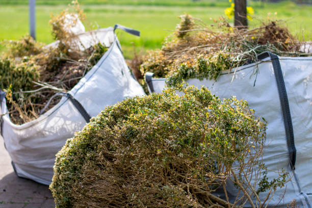 Best Construction Debris Removal  in Princeton Meadows, NJ